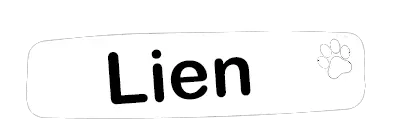 lien