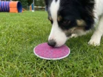 Nasen-Target Level – Bild 4