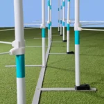 guia blanca Slalom