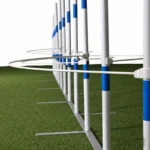 guia blanca Slalom