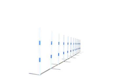 Slalom Competición