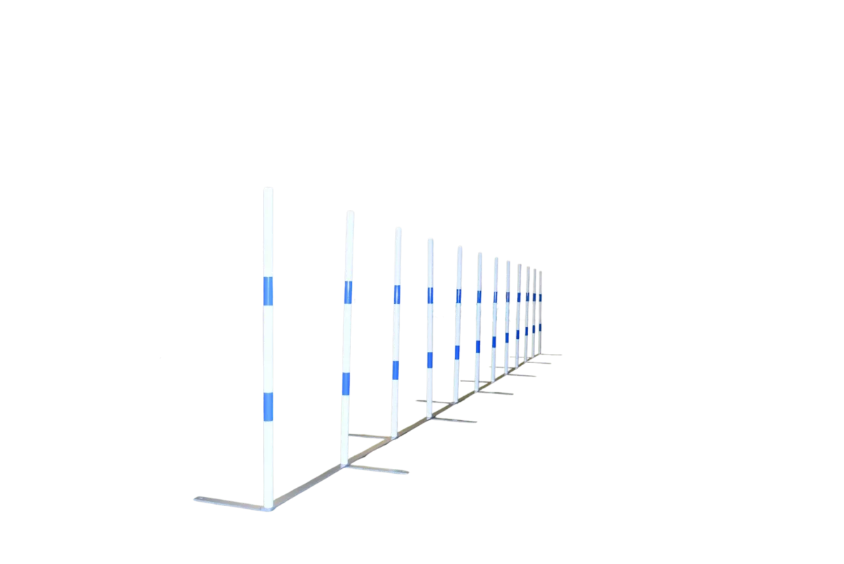 Slalom Competición