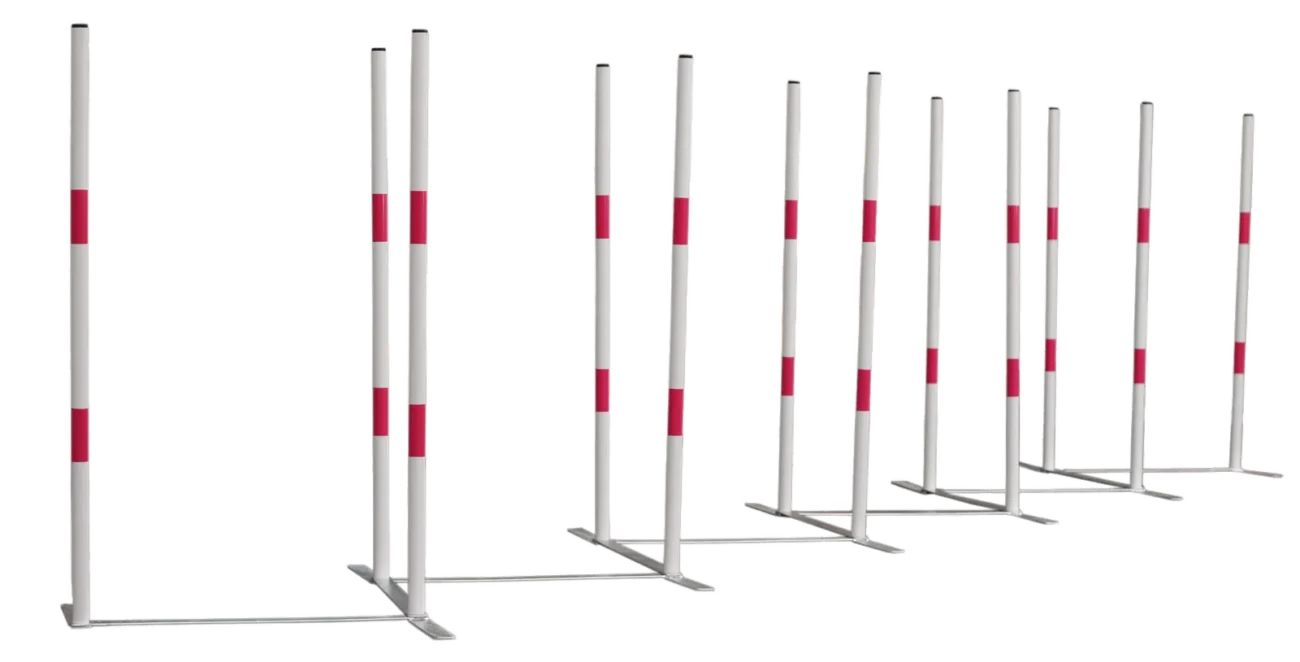 Slalom Zig Zag